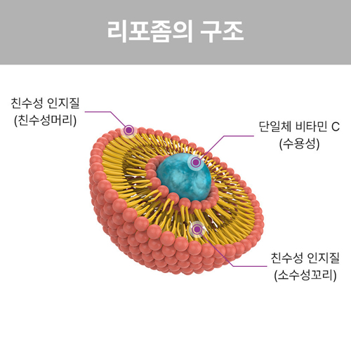 내추럴스킨 파워셀 엑소 크림 50ml